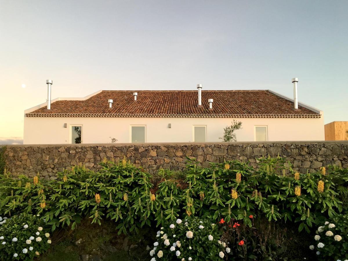 Antiga Fábrica de Chá Casa de hóspedes Nordestinho Exterior foto